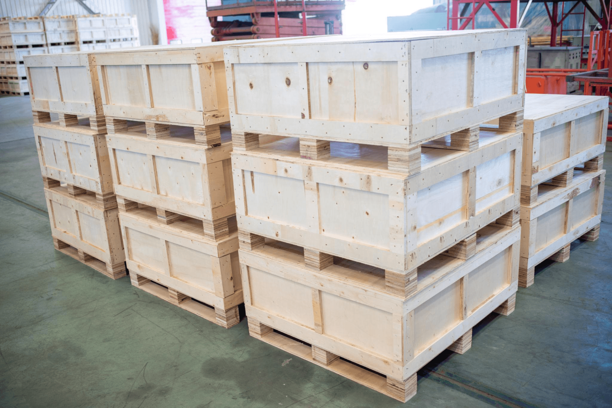 Export-ready cashew packaging and supply solutions